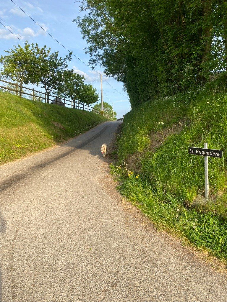 Chemin d'accès à la maison